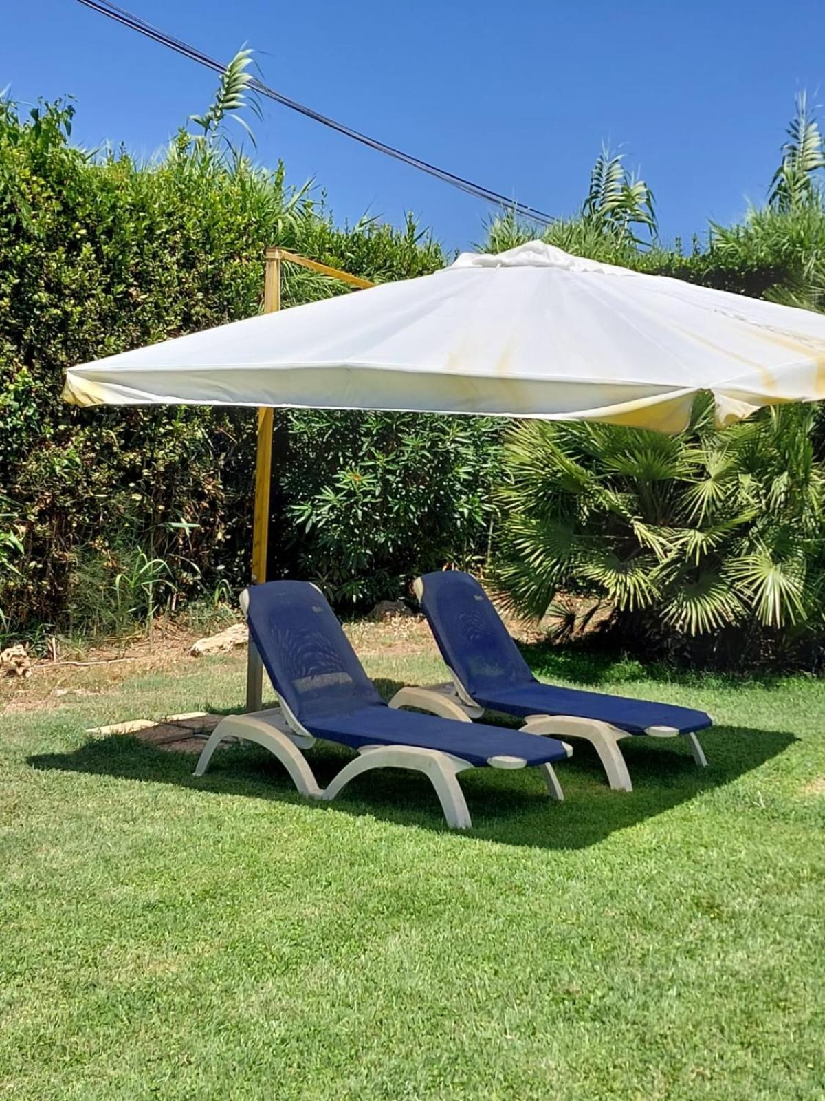Modular King Suite - Intera Suite Vicino Aeroporto E Fiera Di Roma Fiumicino Luaran gambar